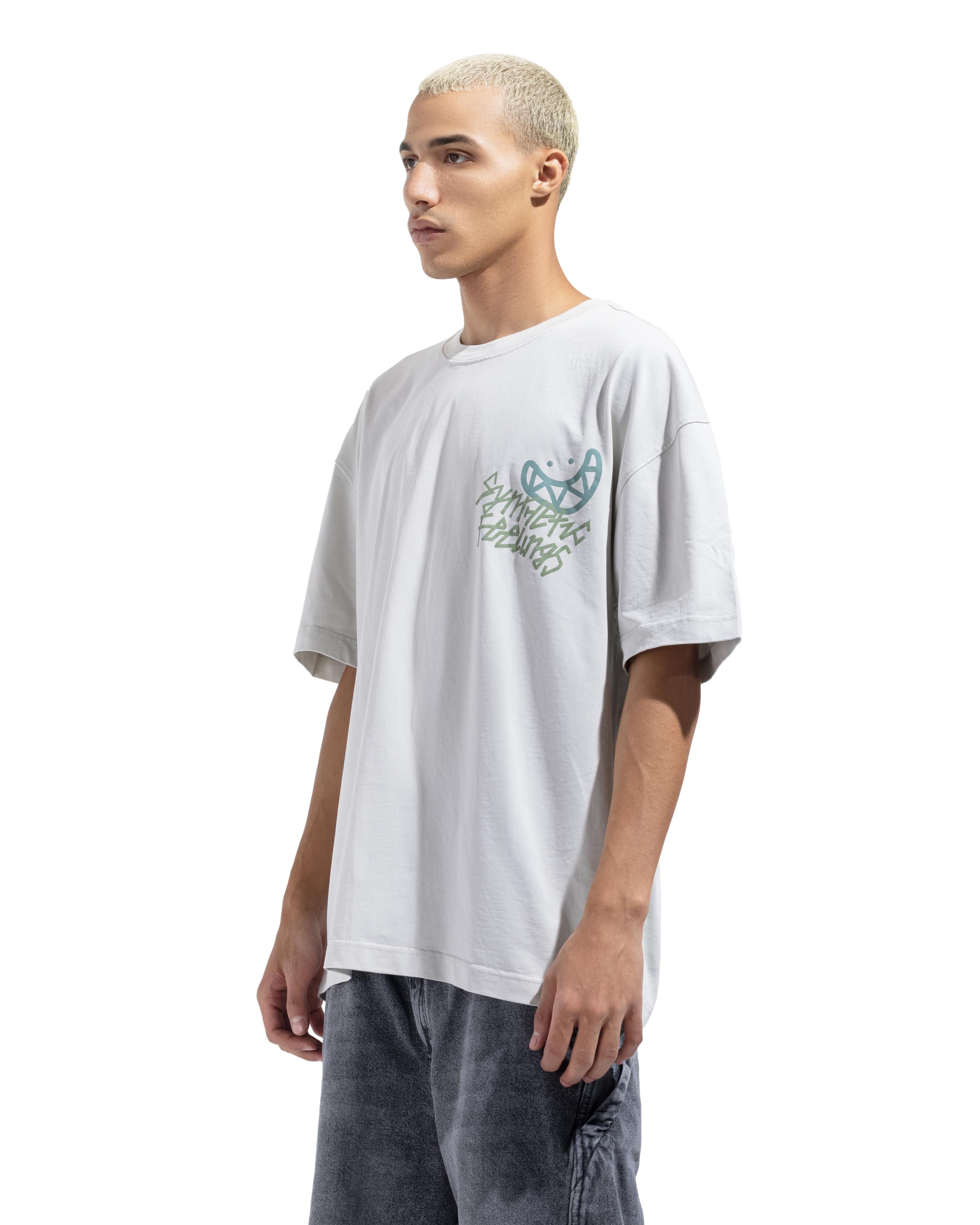 Box Fit Graf Aesthetic T-shirt